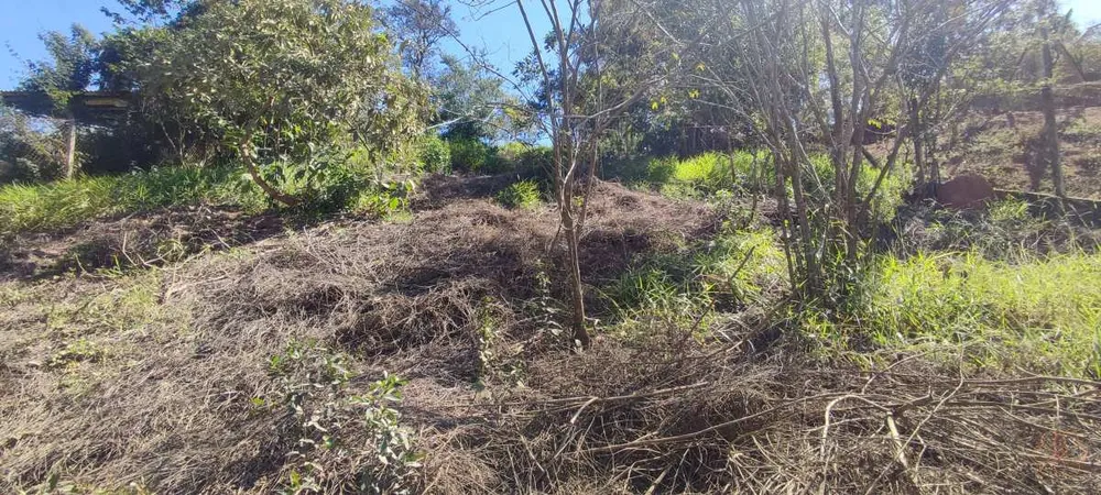 Terreno, 1000 m² - Foto 3