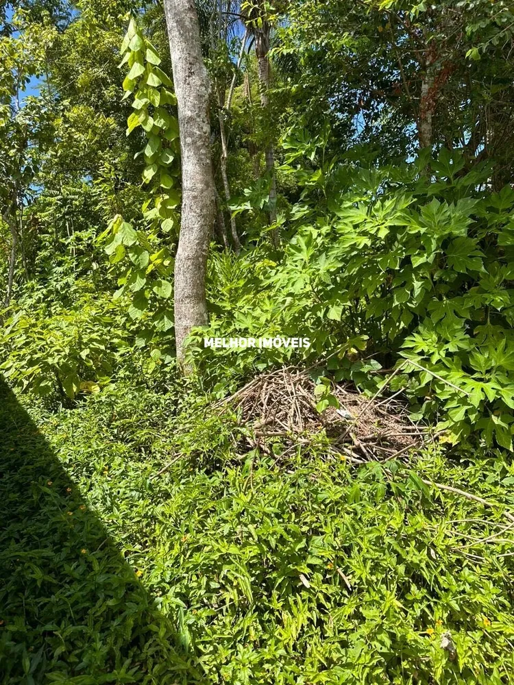 Terreno, 3260 m² - Foto 6