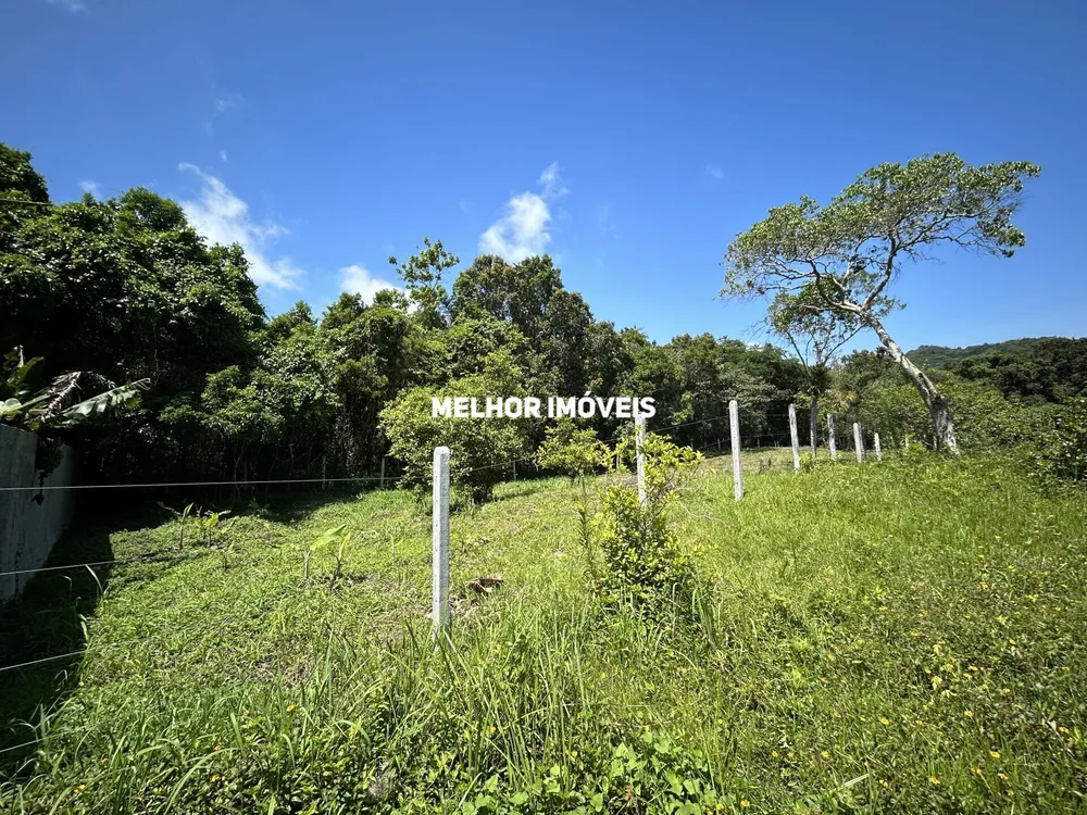 Terreno, 3260 m² - Foto 6