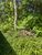 Terreno, 325 m² - Foto 3