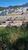 Terreno, 501 m² - Foto 4