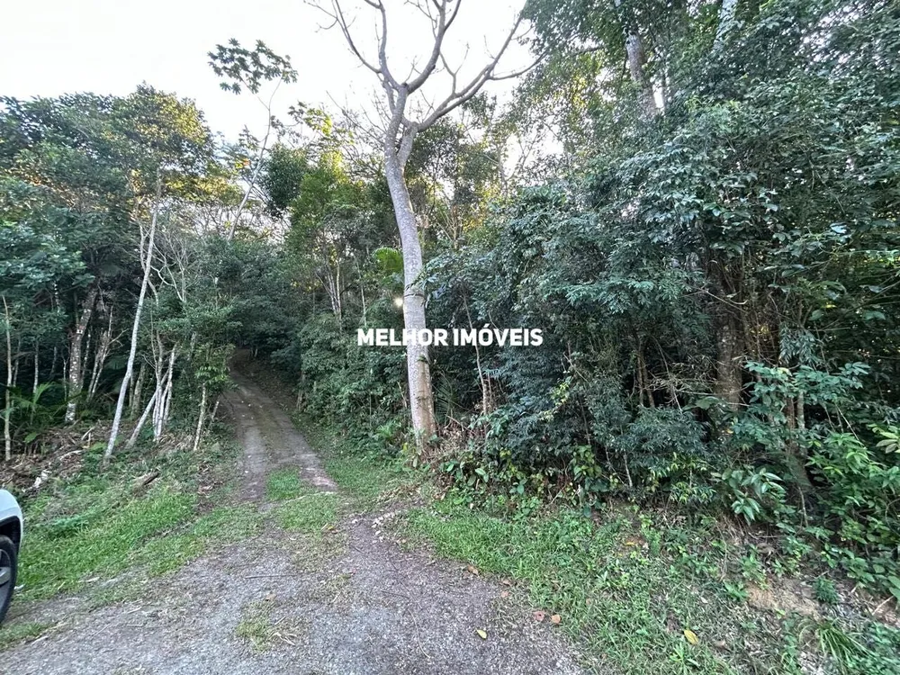 Terreno, 8 hectares - Foto 2