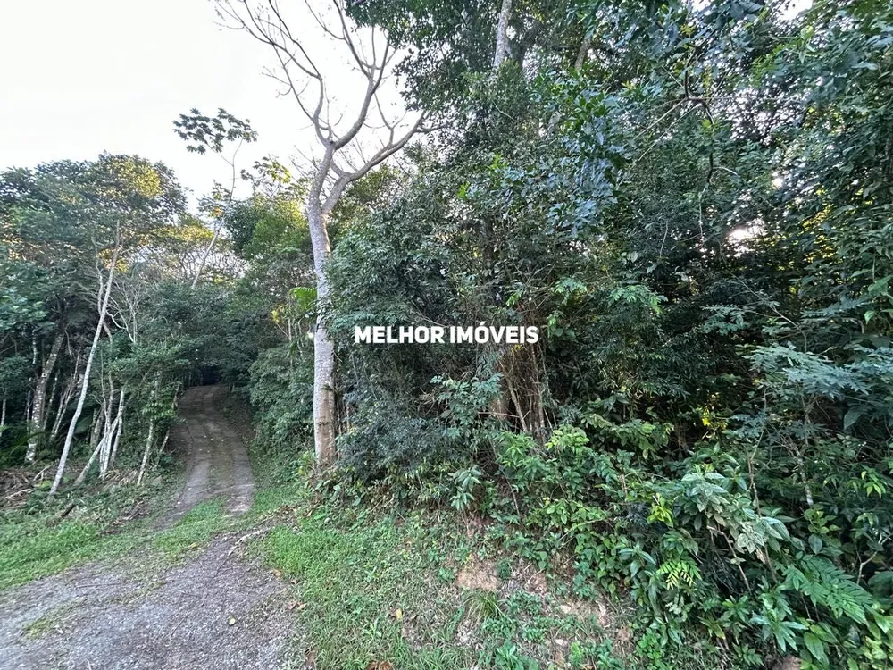 Terreno, 8 hectares - Foto 1