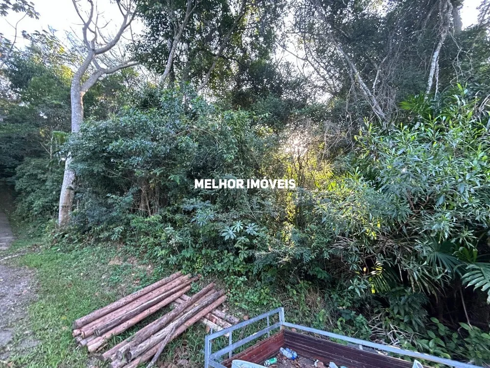 Terreno, 8 hectares - Foto 3