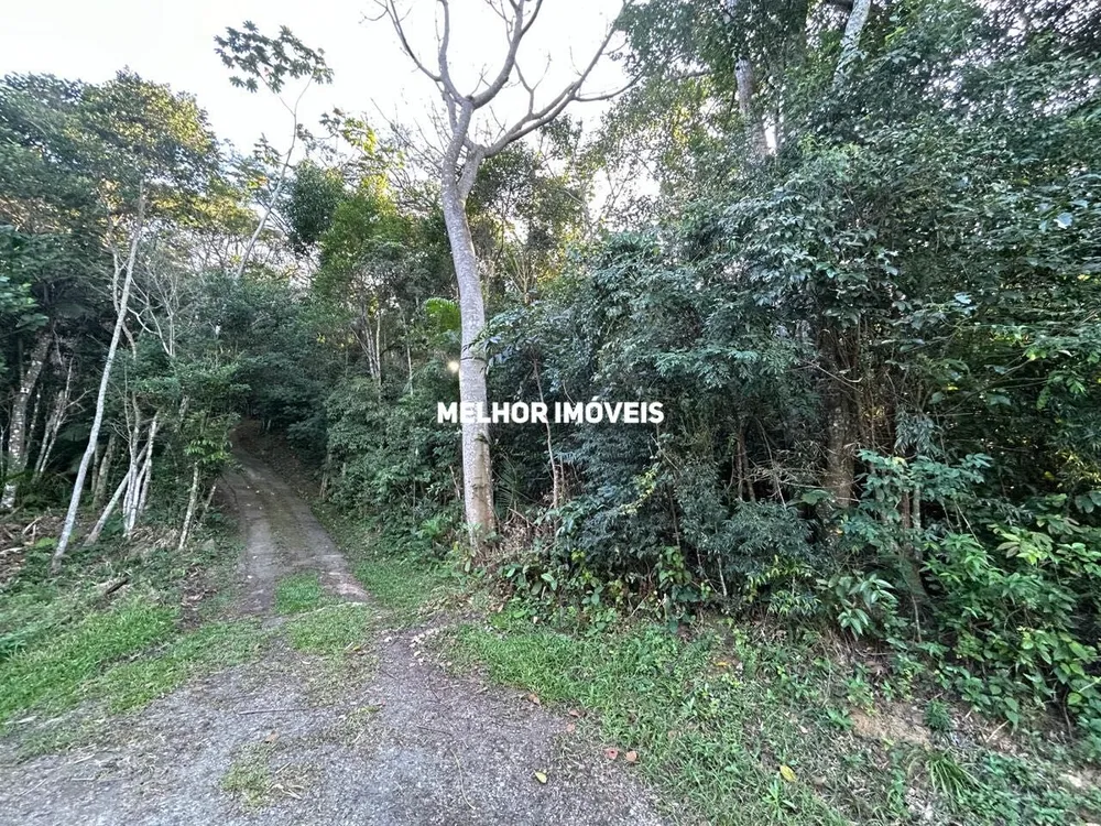 Terreno, 8 hectares - Foto 4