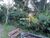 Terreno, 8 hectares - Foto 4