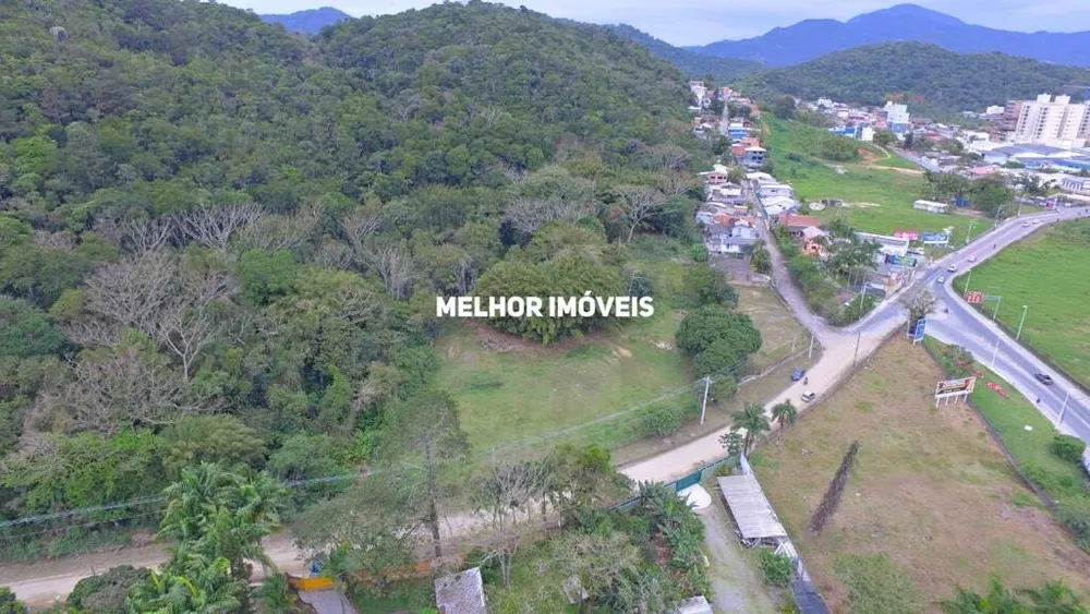 Terreno, 3 hectares - Foto 1