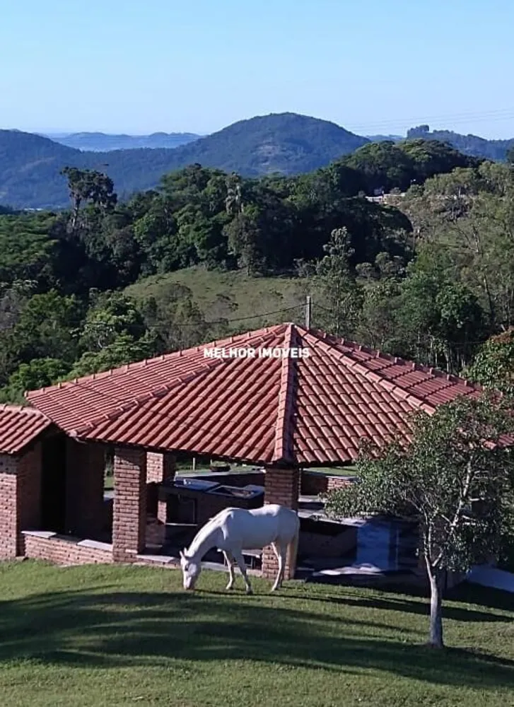 Chácara, 6 hectares - Foto 3