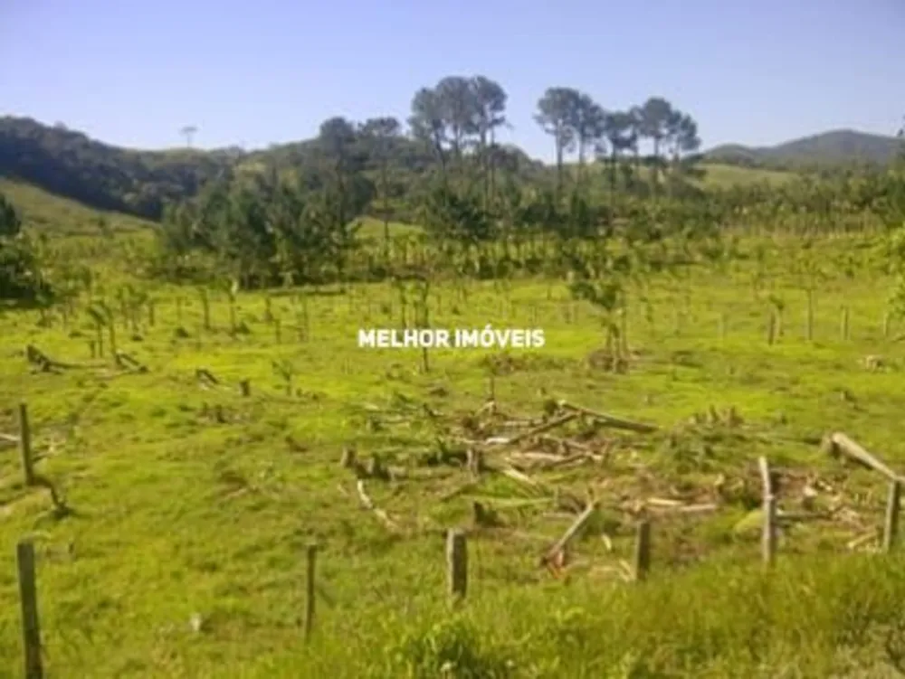 Terreno, 17 hectares - Foto 2