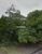 Terreno, 329 m² - Foto 1