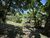 Terreno, 3260 m² - Foto 3