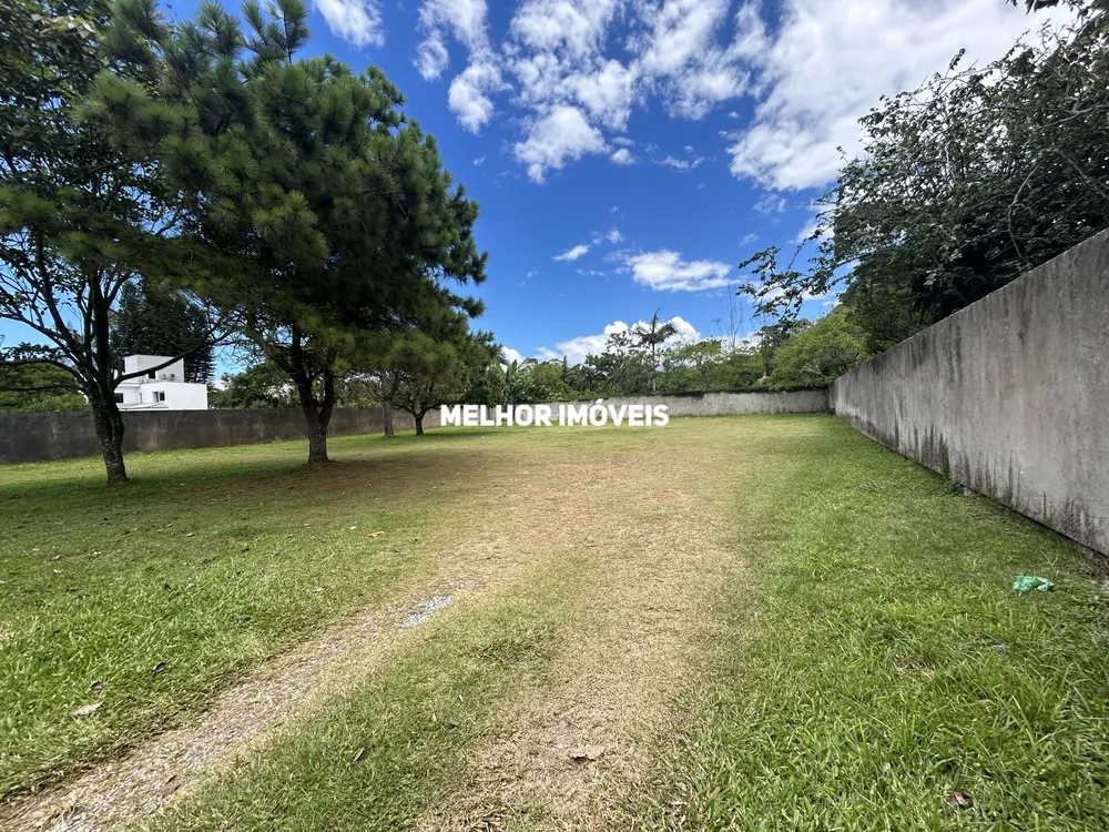 Terreno, 980 m² - Foto 3