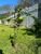 Terreno, 1400 m² - Foto 4