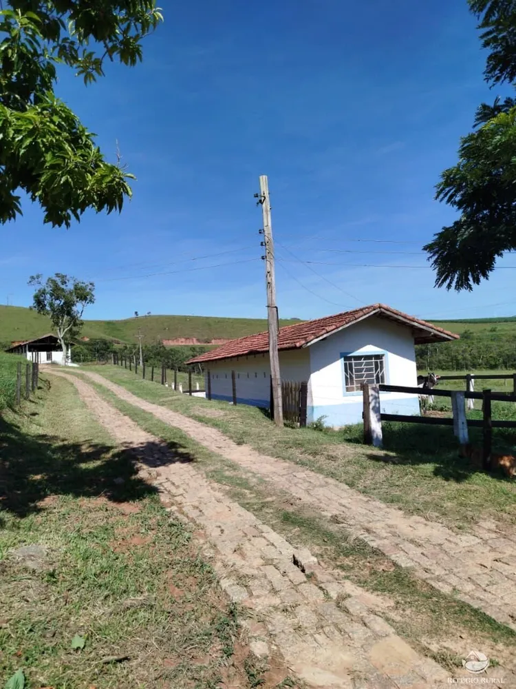 Fazenda, 87 hectares - Foto 6