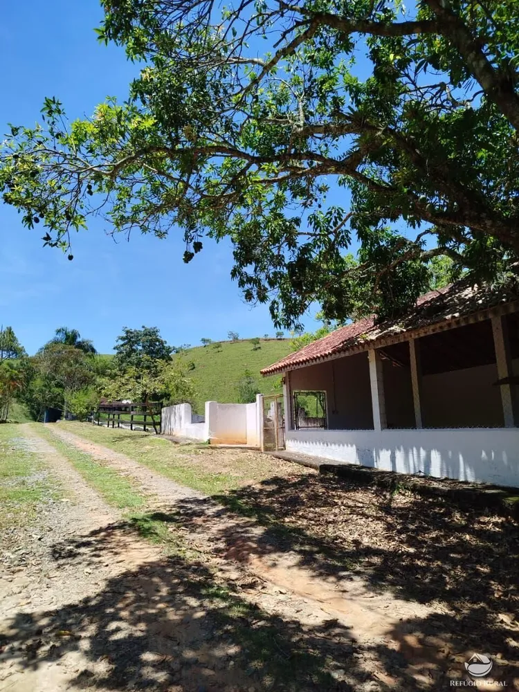 Fazenda, 87 hectares - Foto 12