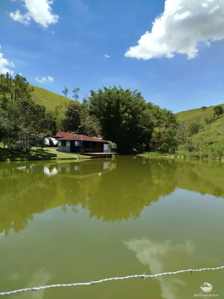 Fazenda, 87 hectares - Foto 1