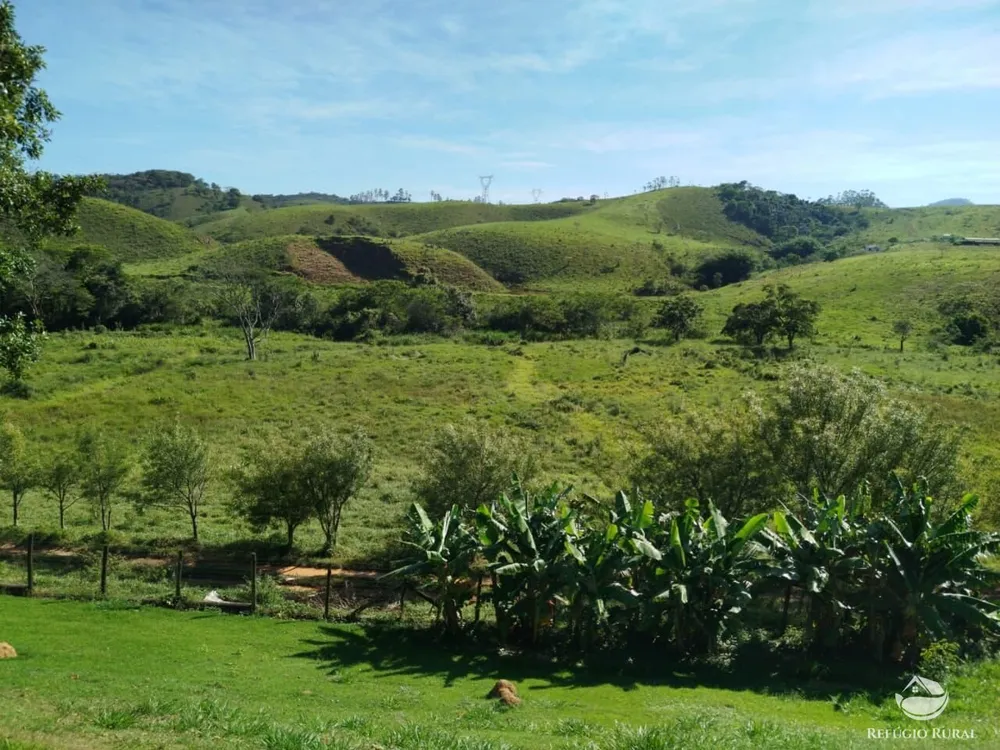 Fazenda, 87 hectares - Foto 4
