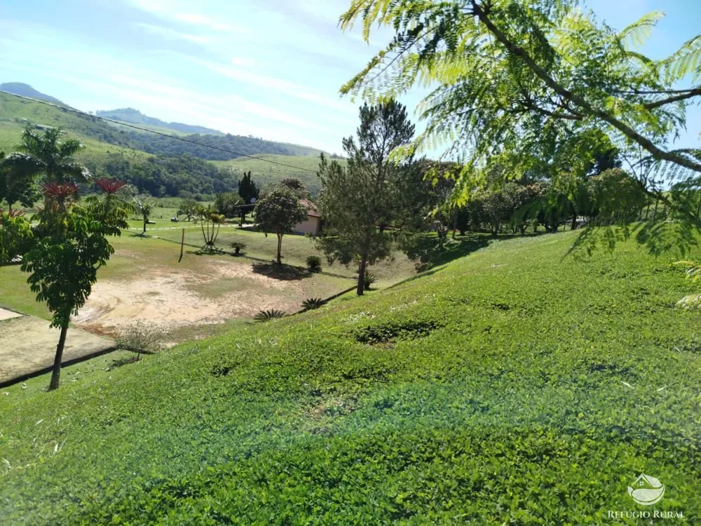 Fazenda, 87 hectares - Foto 9