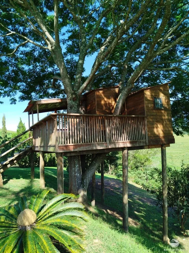 Fazenda, 87 hectares - Foto 3
