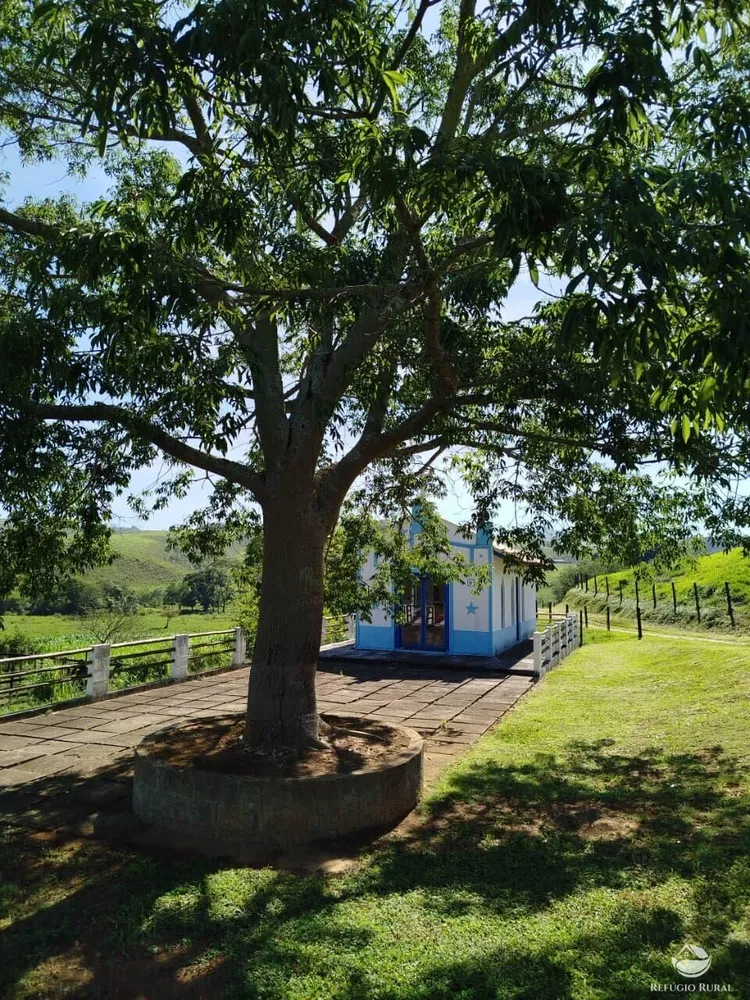 Fazenda, 87 hectares - Foto 2
