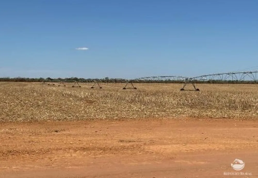 Fazenda, 957 hectares - Foto 3