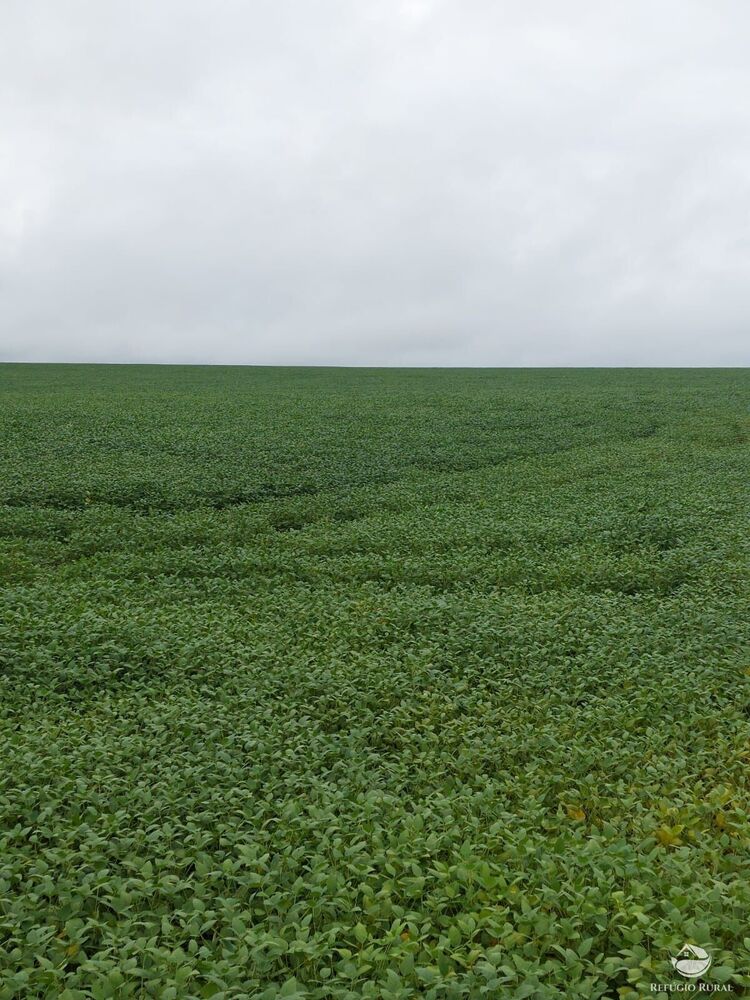 Fazenda à venda com 2 quartos, 4888400m² - Foto 1