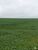 Fazenda-Sítio-Chácara, 489 hectares - Foto 1