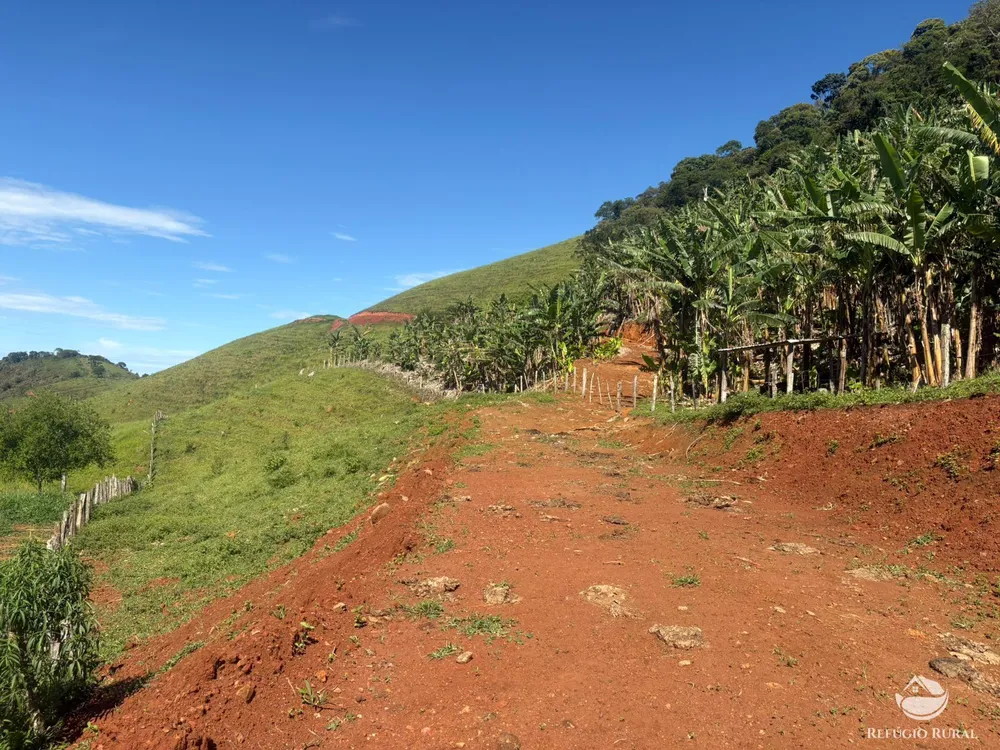 Terreno, 10 hectares - Foto 11