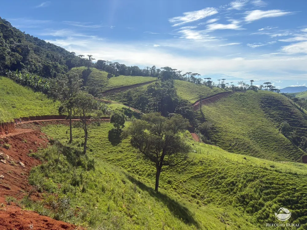 Terreno, 10 hectares - Foto 10