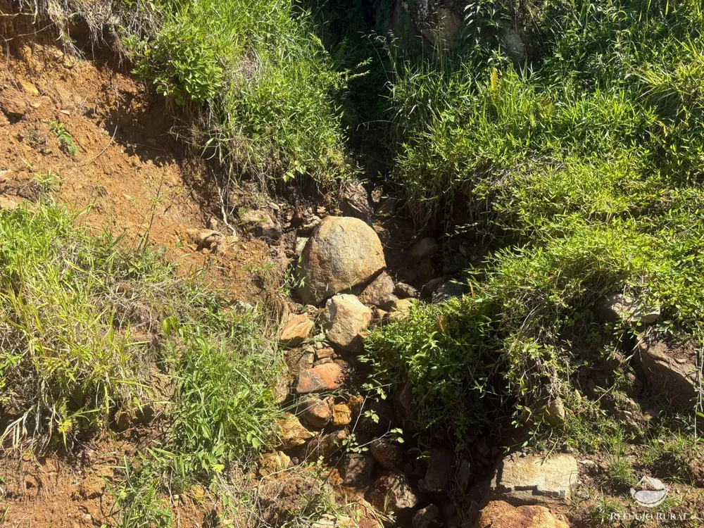 Terreno, 10 hectares - Foto 14