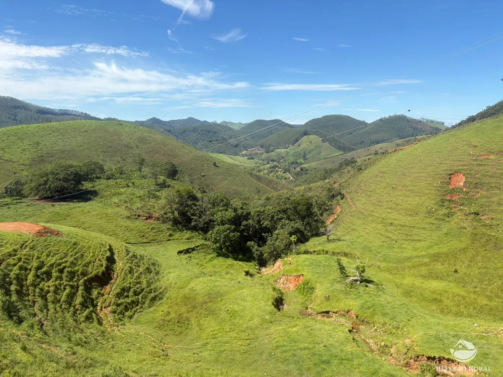 Terreno, 10 hectares - Foto 12