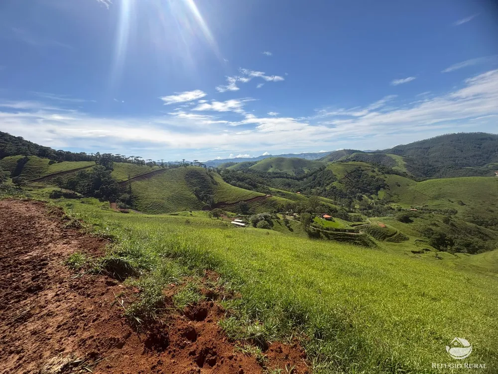 Terreno, 10 hectares - Foto 4