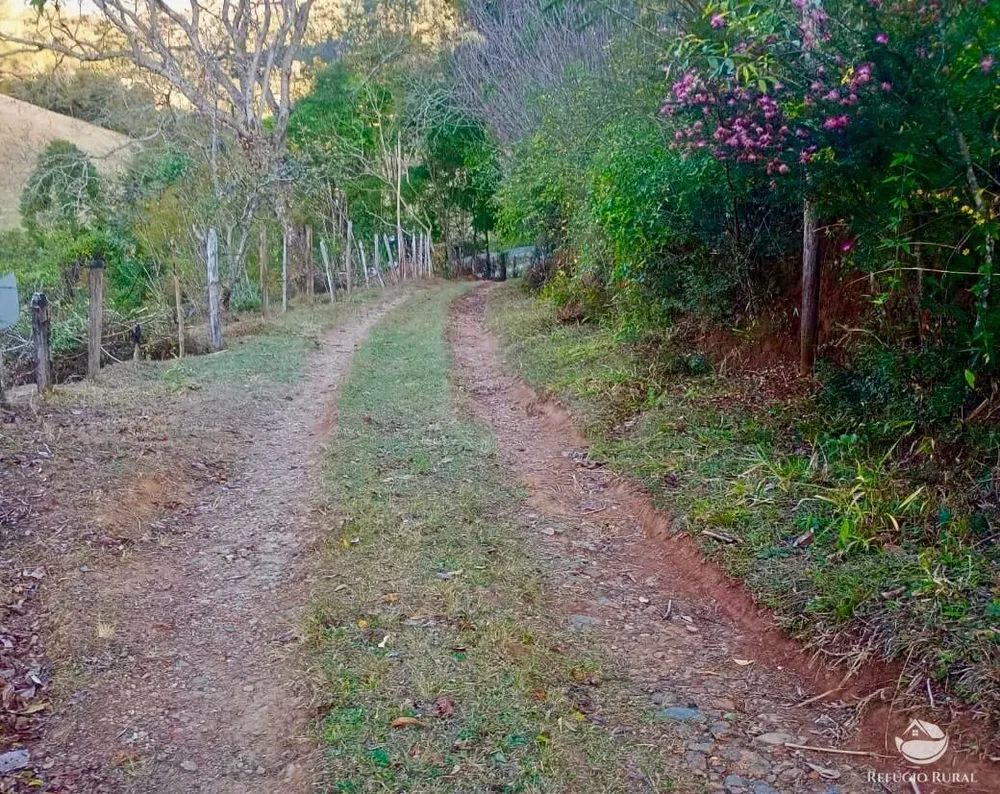 Sítio, 16 hectares - Foto 16