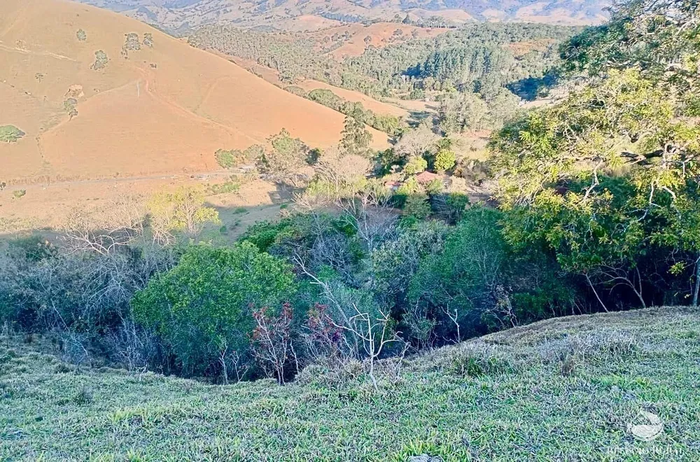 Sítio, 16 hectares - Foto 12