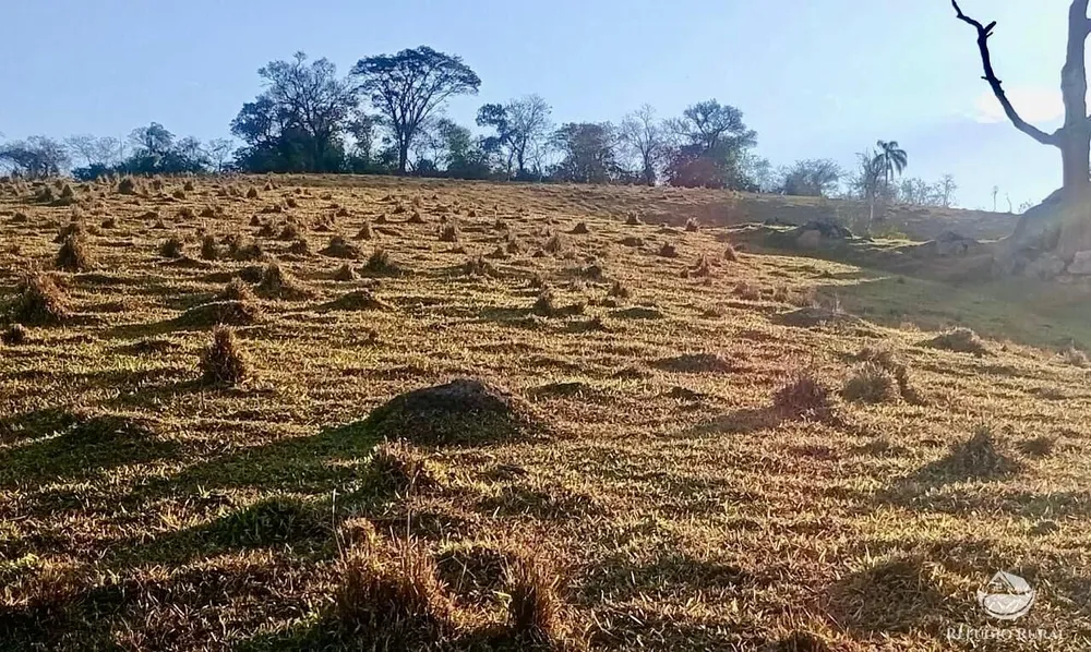 Sítio, 16 hectares - Foto 10