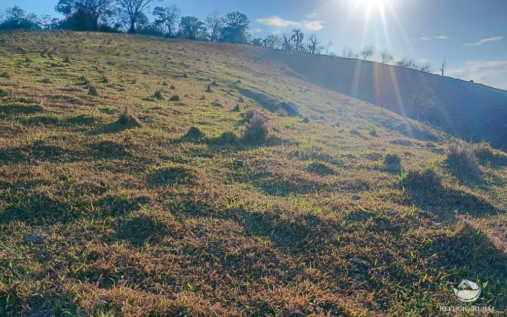 Sítio, 16 hectares - Foto 4