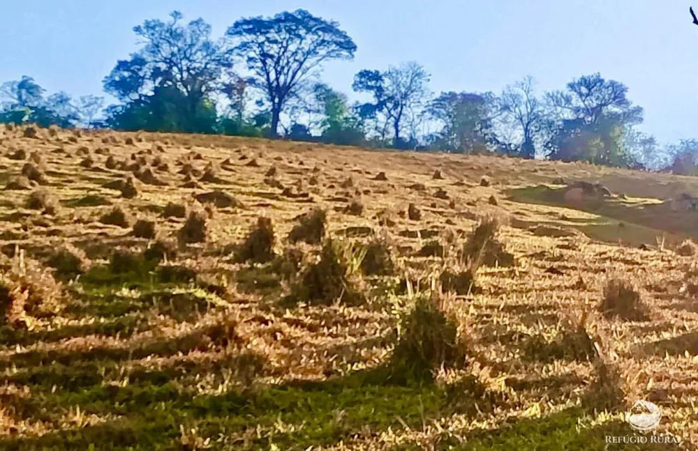 Sítio, 16 hectares - Foto 11