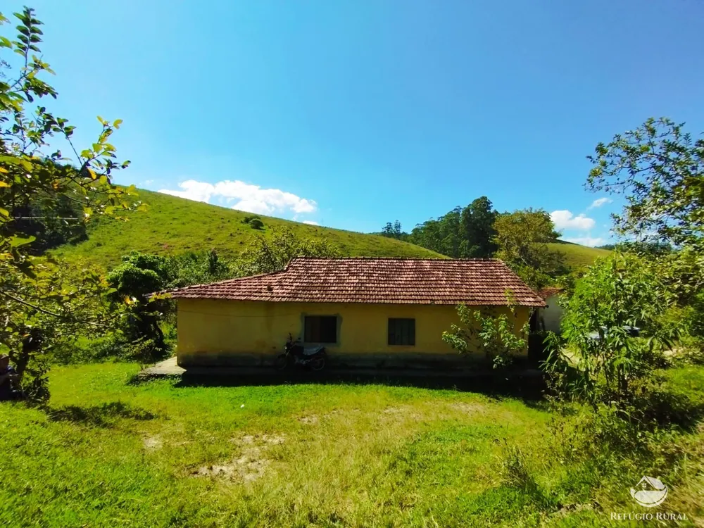Sítio, 10 hectares - Foto 1