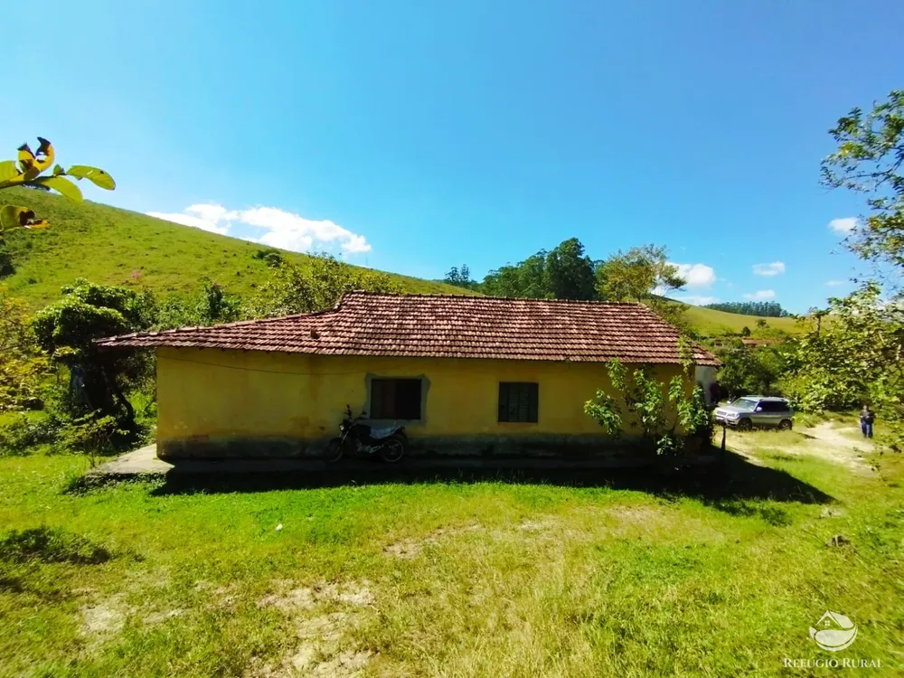 Sítio, 10 hectares - Foto 10