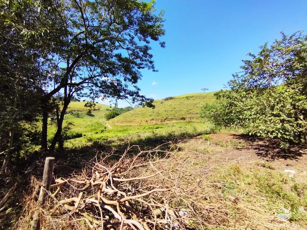 Sítio, 10 hectares - Foto 4