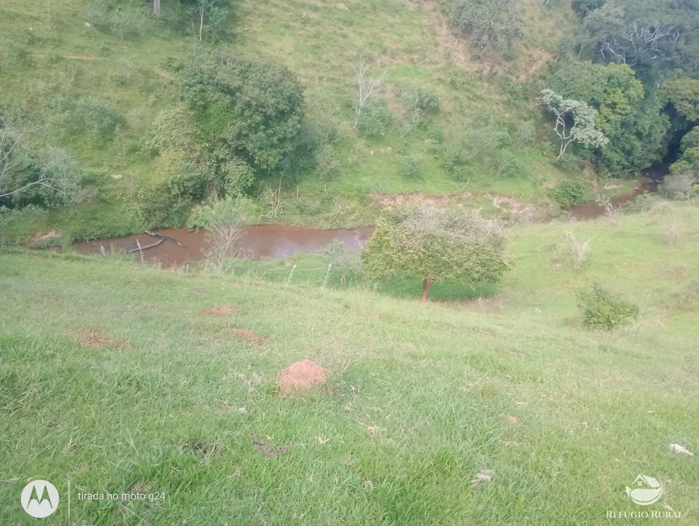 Sítio, 46 hectares - Foto 13