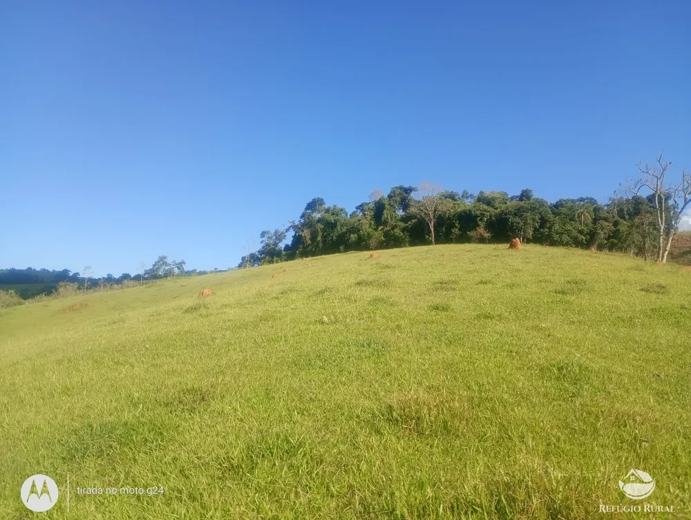 Sítio, 46 hectares - Foto 12