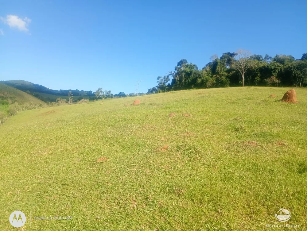 Sítio, 46 hectares - Foto 1