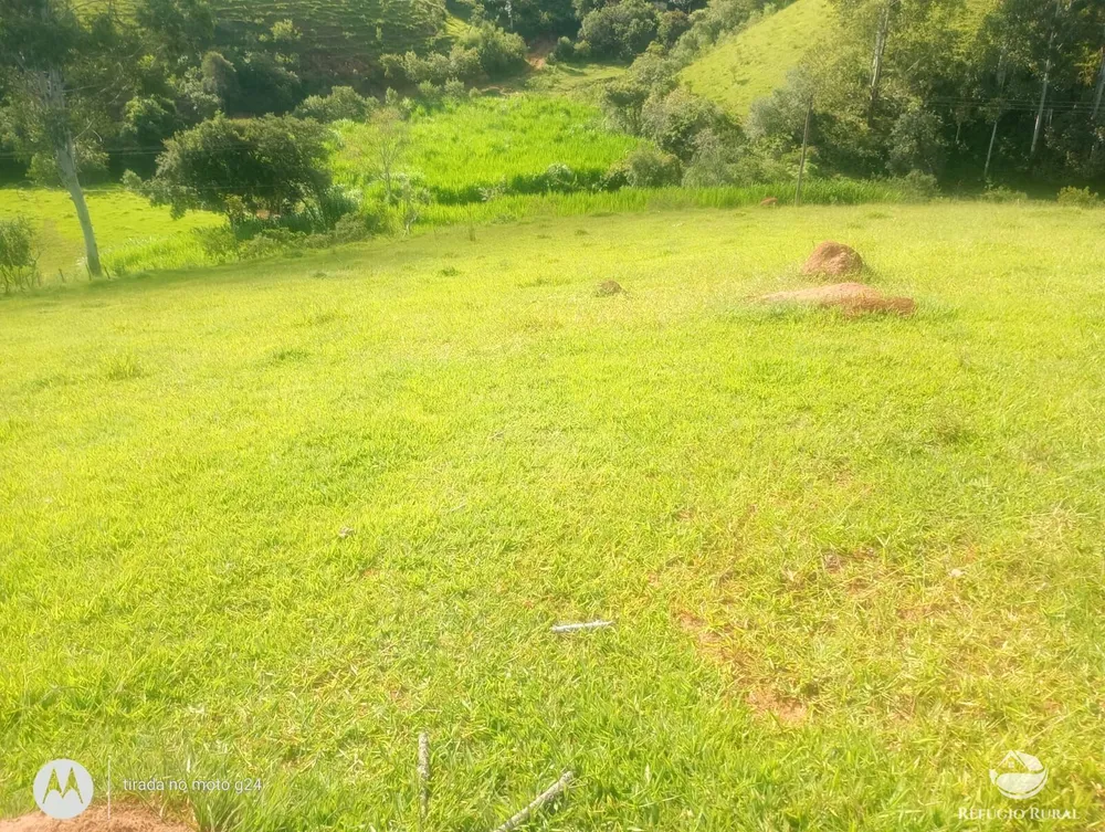 Sítio, 46 hectares - Foto 8