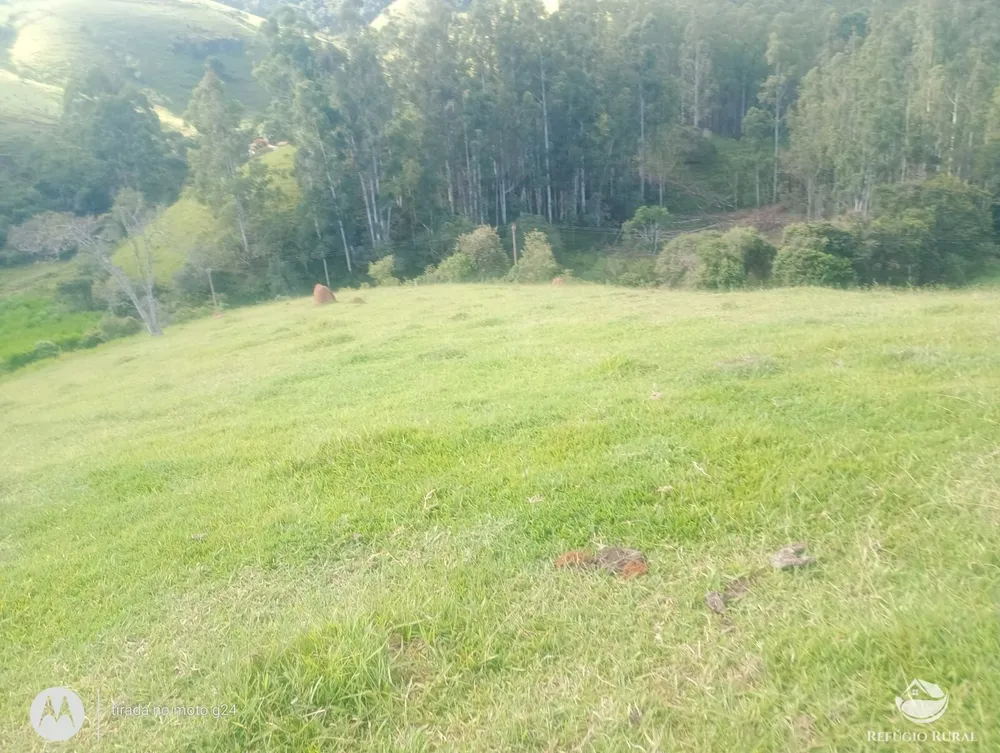 Sítio, 46 hectares - Foto 11