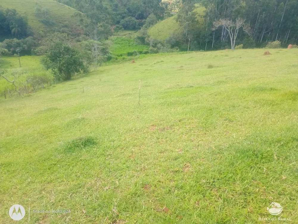 Sítio, 46 hectares - Foto 15