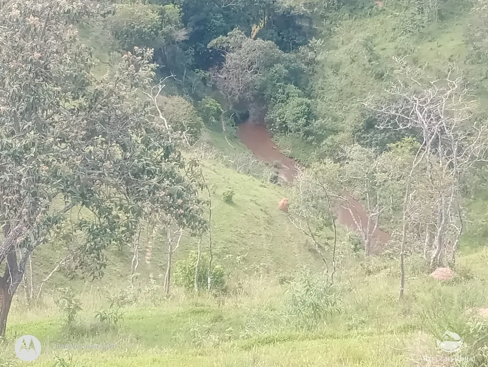 Sítio, 46 hectares - Foto 4
