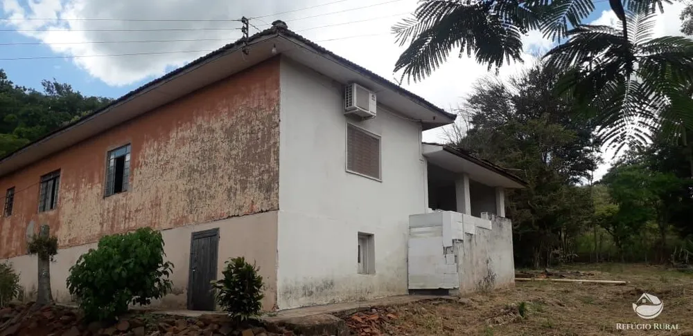 Sítio, 31 hectares - Foto 1