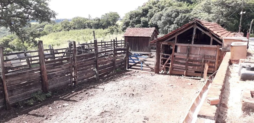 Sítio, 31 hectares - Foto 10