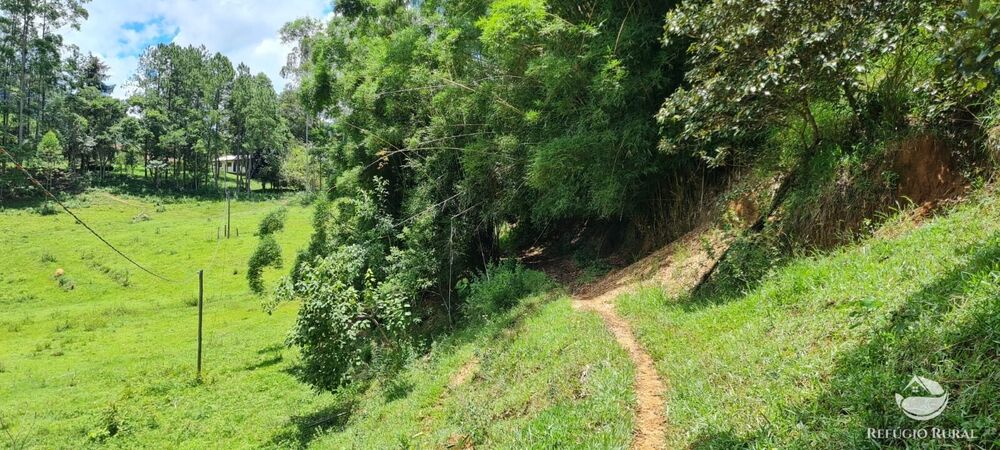 Sítio à venda com 3 quartos, 47500m² - Foto 20